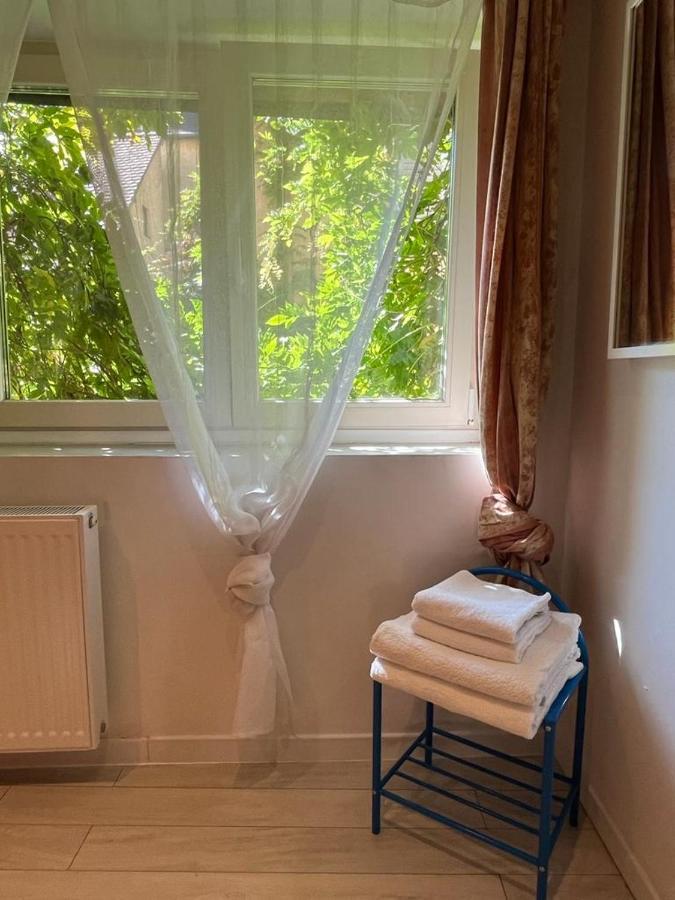 La Mariana - Old Town Cosy Apartments كولمار المظهر الخارجي الصورة